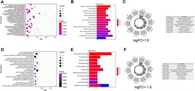 Integrative Analyses of Genes Associated With Right Ventricular Cardiomyopathy Induced by Tricuspid Regurgitation